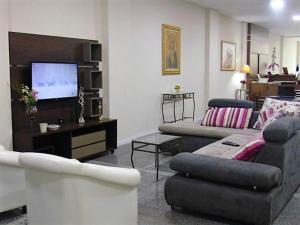 阿帕雷西达Hotel Maria da Fé的带沙发和电视的客厅