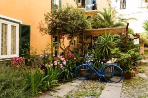 因佩里亚阿尔伯格科斯塔酒店的一辆蓝色的自行车停在种满鲜花的花园内