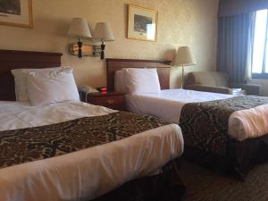 皇后区埃尔维旅馆的酒店客房,配有两张床和椅子