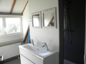 DikkelvennePetrus Wittebrood Hoeve的一间带水槽、镜子和淋浴的浴室