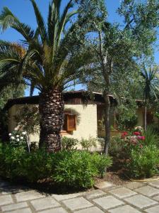 维耶斯泰Residence Giardino的房屋前的棕榈树