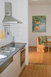 沃尔姆斯Kleiner Herrenhof的厨房配有水槽和台面