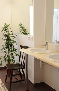 里加大树旅舍的植物旁带水槽和椅子的浴室