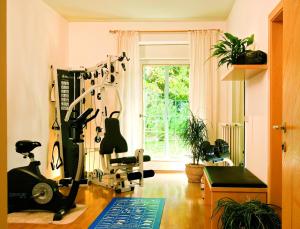 梅拉诺菲力品诺姆酒店的一间设有健身器材和窗户的房间