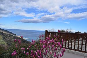 莫雷逊九号雄狮酒店的山上一束粉红色的花,与大海交汇