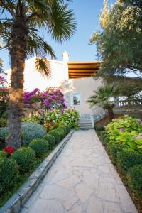 拉布Apartments Pende的花园中种满鲜花和棕榈树的步道