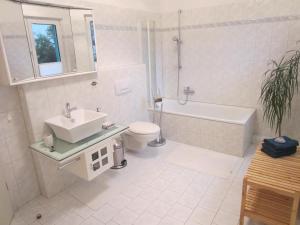 爱尔福特埃加公园埃尔夫迪亚埃尔福特公寓酒店的一间带水槽、浴缸和卫生间的浴室