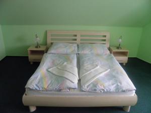 弗兰季谢克矿泉镇Penzion U Modrého Slona的一张带塑料床单和枕头的床