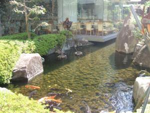 成田捷得威大飯店外面的花园