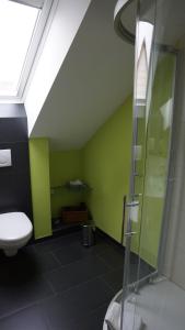 Herbsleben穆乐哈特旅馆的一间带卫生间和绿色墙壁的浴室