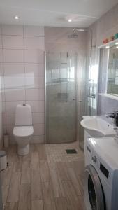 Härslöv戈德茅宁度假屋的带淋浴、卫生间和盥洗盆的浴室