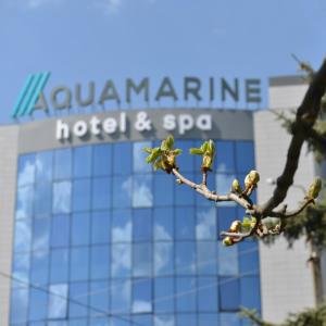 库尔斯克Aquamarine hotel&spa的酒店和spa前的树枝