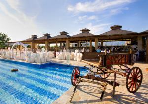 约阿尼纳塞瑟瑞亚酒店的凉亭前的游泳池,带马车