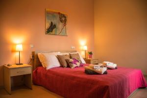 AyiáAksos Suites Accessible Accommodation的相册照片