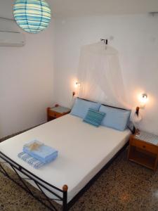 伊利索斯薇薇安一室公寓酒店的一间卧室配有一张带蓝色枕头的床。