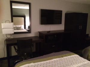 纳什维尔纳什维尔莲花套房汽车旅馆的一间卧室配有一张床、一张书桌和一面镜子