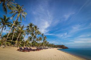 湄南海滩Coco Palm Beach Resort - SHA Extra Plus的海滩上,有椅子和棕榈树,还有大海