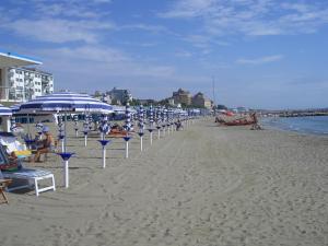 威尼斯丽都索瑞索酒店的海滩上的一组沙滩椅和遮阳伞