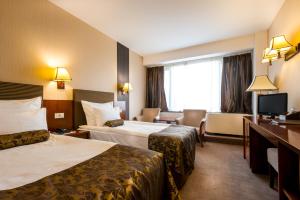 克卢日-纳波卡纳波卡大酒店的酒店客房设有两张床和电视。