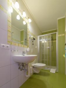 弗拉绍Haus Maier的一间带水槽、卫生间和淋浴的浴室