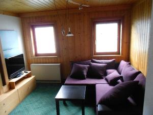 克里姆尔塔特恩公寓的一间带紫色沙发和两扇窗户的客厅