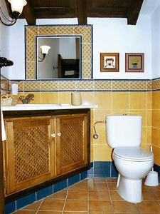 Casas del CastañarCasa Rural La Cueva的一间带卫生间、水槽和镜子的浴室