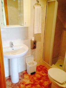 布利亚斯弗利珀膳食公寓酒店的一间带水槽、淋浴和卫生间的浴室