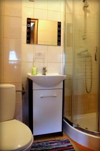 卢布林Willa Urocza的浴室配有卫生间、盥洗盆和淋浴。