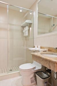 皇后区亚洲酒店 - 法拉盛的带淋浴、卫生间和盥洗盆的浴室