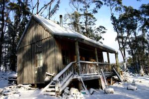 MoinaWombat Cabin的雪中小木屋,有树木