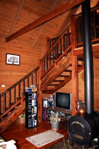 MoinaWombat Cabin的小屋内的客厅设有燃木火炉