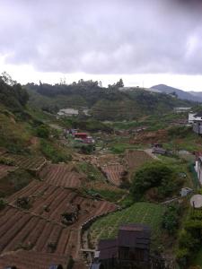 金马仑高原Rose Apartment Kea Farm的相册照片