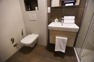 兹诺伊莫Apartment historical city的浴室配有卫生间、盥洗盆和淋浴。