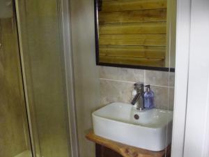 艾尔德里里格德农场住宿加早餐旅馆的一间带水槽、镜子和淋浴的浴室