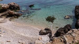萨瓦拉Holiday Home Rubinić的一片拥有岩石和清澈海水的海滩