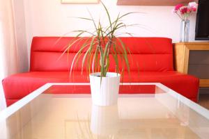 巴塞罗那博德塔公寓的玻璃桌上带盆栽的红色沙发