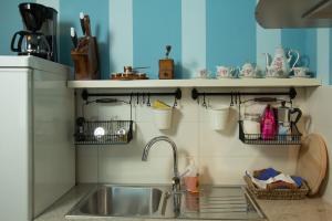 BranikApartment Dandelion的厨房配有水槽和台面