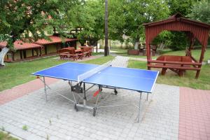 KruszynChata Skrzata的公园里的一个蓝色乒乓球桌,还有一个凉亭