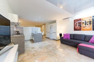 大加那利岛拉斯帕尔马斯毕加索花园阁楼公寓的带沙发的客厅和厨房