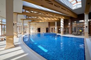 Mogilovo米达里达尔Spa酒店的大楼内的大型游泳池