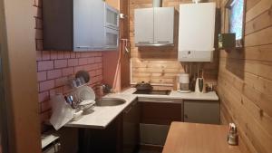 斯伽尔达拉沙酒店的一个带水槽和柜台的小厨房