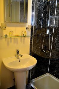 波特帕特里克Crown hotel的一间带水槽和淋浴的浴室