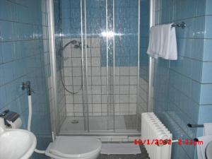 特里尔法伦沃尔夫酒店的带淋浴、卫生间和盥洗盆的浴室