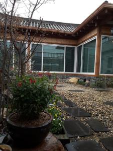 庆州耶陶尔韩屋旅馆的一座花园,在房子前面种植了盆栽植物