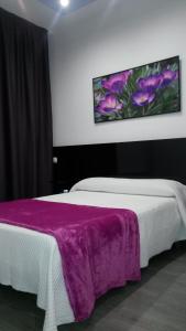 马德里布宜诺斯艾利斯旅馆的一间卧室配有一张床铺,床上铺有紫色毯子