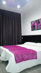 马德里布宜诺斯艾利斯旅馆的一间卧室配有一张大床和紫色毯子