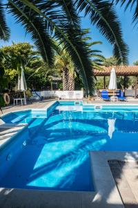 雷夫卡达镇Alexaria Holidays Apartments的一座棕榈树环绕的游泳池