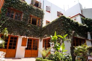 墨西哥城哈辛塔之家旅馆的常春藤长在上面的建筑