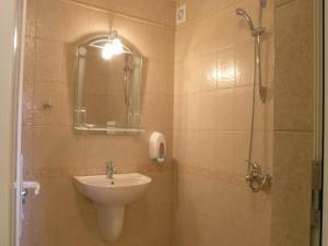 布拉戈耶夫格勒Hotel Ertancom的浴室配有盥洗盆和带镜子的淋浴