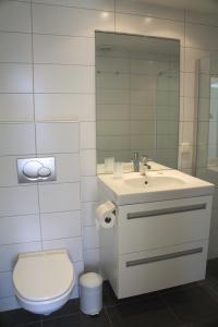奥德多普De Kastanje Ouddorp的一间带卫生间、水槽和镜子的浴室